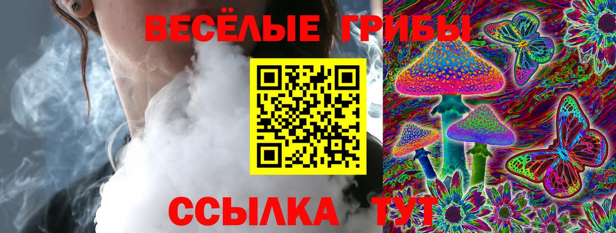 Псилоцибиновые грибы Магадан