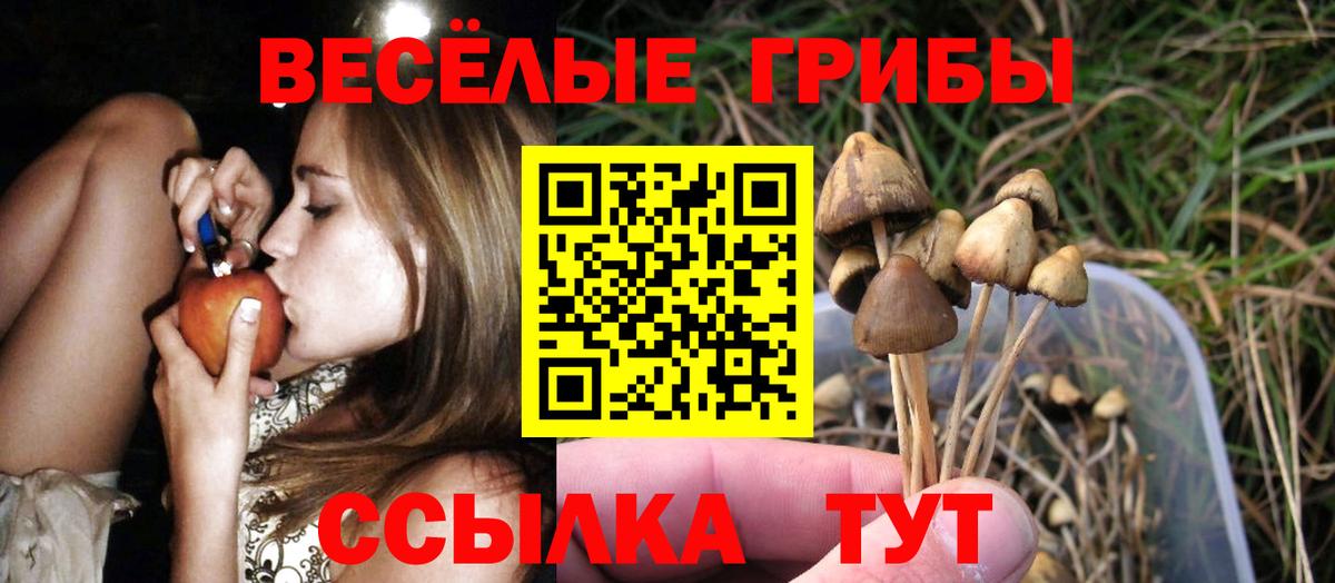Галлюциногенные грибы прущие грибы Магадан