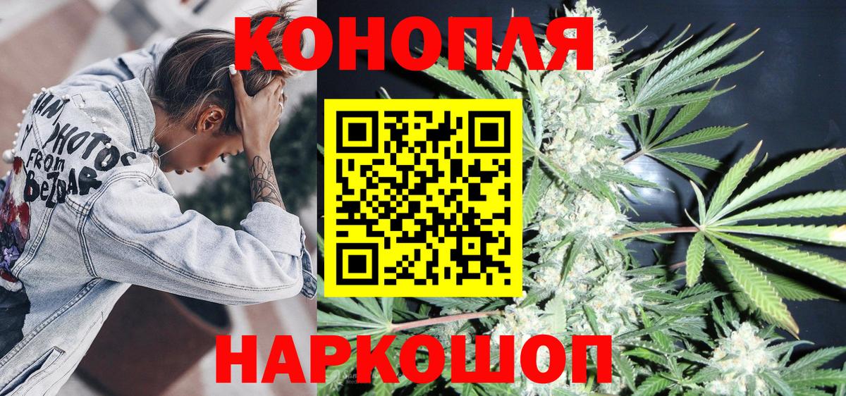 Шишки марихуана планчик Магадан
